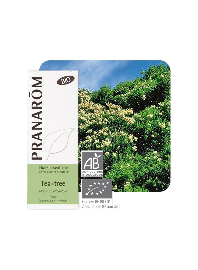 PRANAROM Pranarôm Bio Essential Oil Tea-Tree (Melaleuca alternifolia) 10ml - Image 2